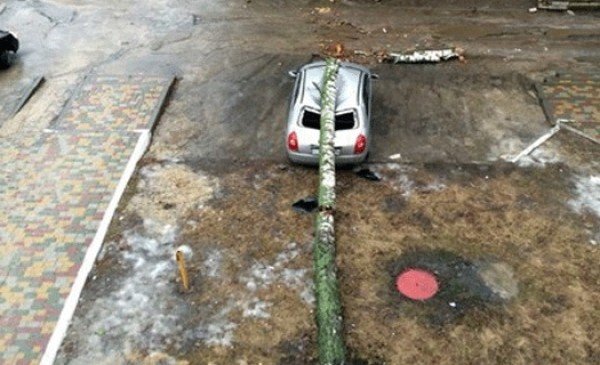 Daily Pictures. Part 2 (64 pics) Daily Pictures. Part 2 (64 pics)