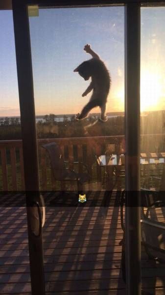 Daily Pictures. Part 1 (65 pics)