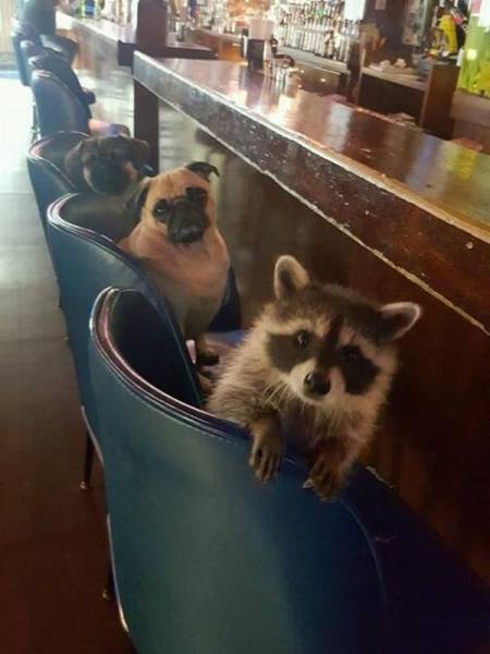 Daily Pictures. Part 1 (65 pics)