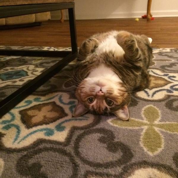 Daily Pictures. Part 1 (65 pics)