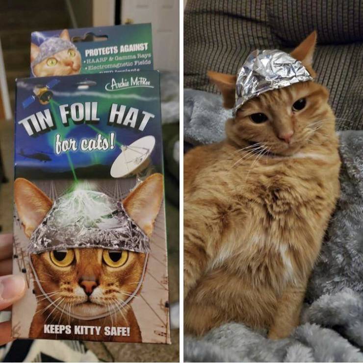 Daily Pictures. Part 2 (64 pics) Daily Pictures. Part 2 (64 pics)