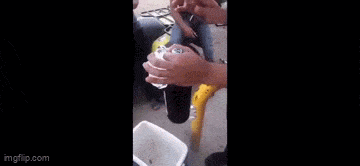 Acid GIFs, February 24 (25 gifs) Acid GIFs, February 24 (25 gifs)