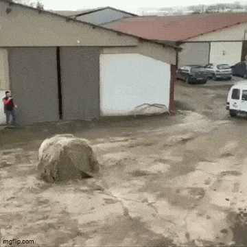 Acid GIFs, February 24 (25 gifs) Acid GIFs, February 24 (25 gifs)