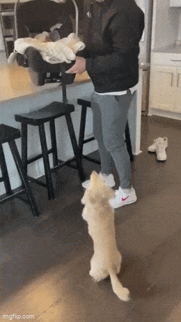 Acid GIFs, February 24 (25 gifs) Acid GIFs, February 24 (25 gifs)