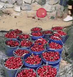 Acid GIFs, February 24 (25 gifs) Acid GIFs, February 24 (25 gifs)