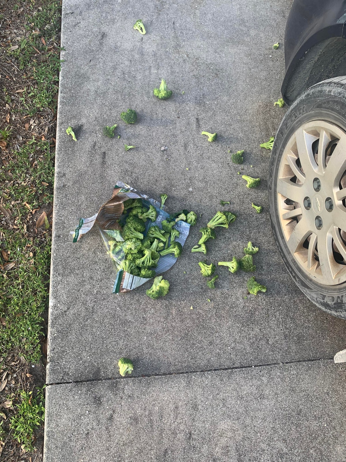 Bad Days Happen (33 pics)