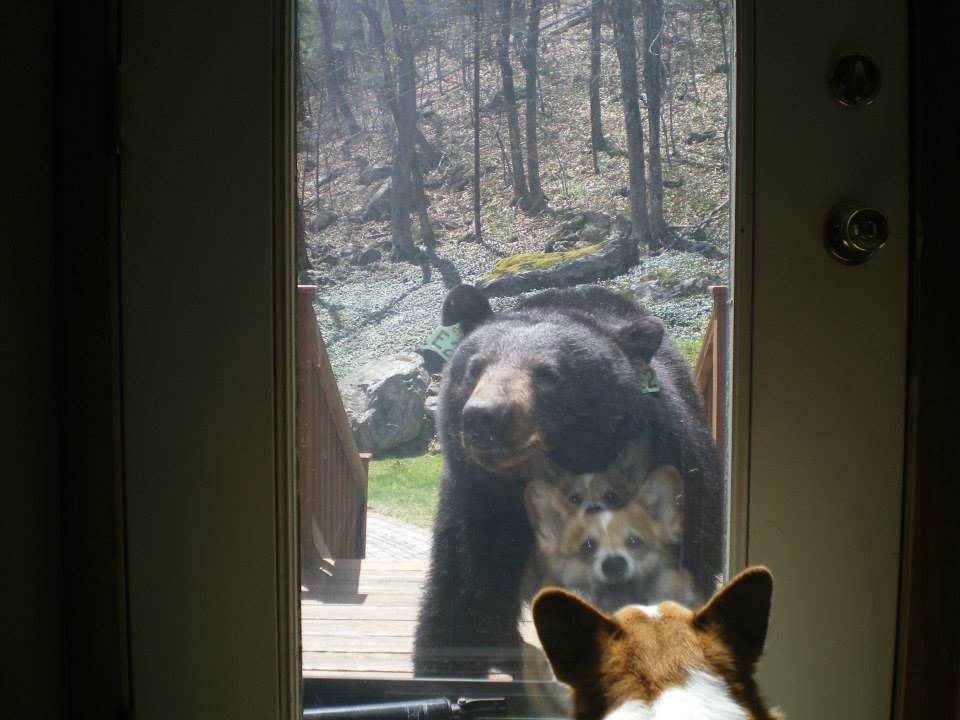 Daily Pictures. Part 1 (72 pics) Daily Pictures. Part 1 (72 pics)