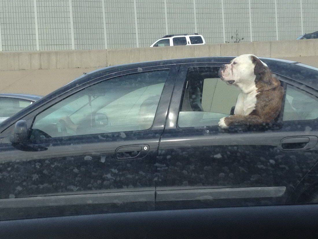 Daily Pictures. Part 1 (72 pics) Daily Pictures. Part 1 (72 pics)