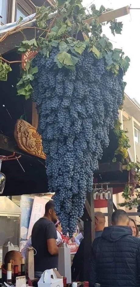 Daily Pictures. Part 1 (72 pics) Daily Pictures. Part 1 (72 pics)