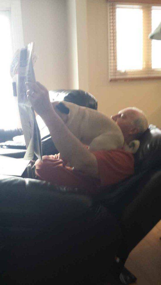 Daily Pictures. Part 1 (72 pics) Daily Pictures. Part 1 (72 pics)