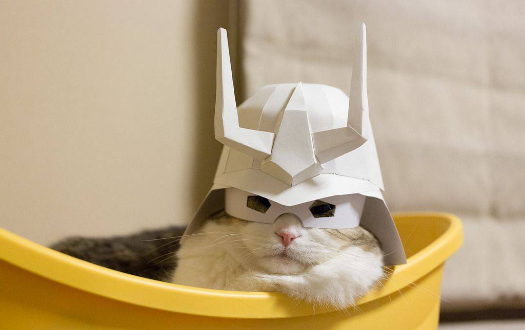 Daily Pictures. Part 1 (72 pics) Daily Pictures. Part 1 (72 pics)