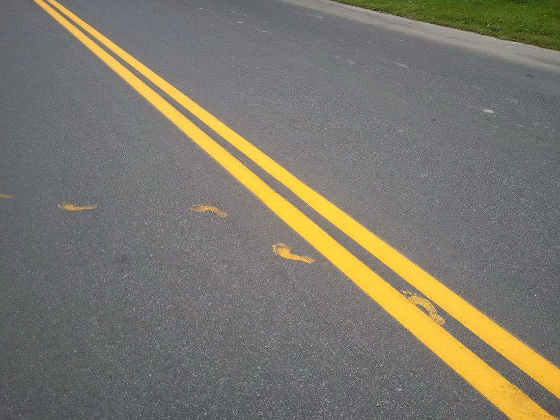 Daily Pictures. Part 1 (72 pics) Daily Pictures. Part 1 (72 pics)