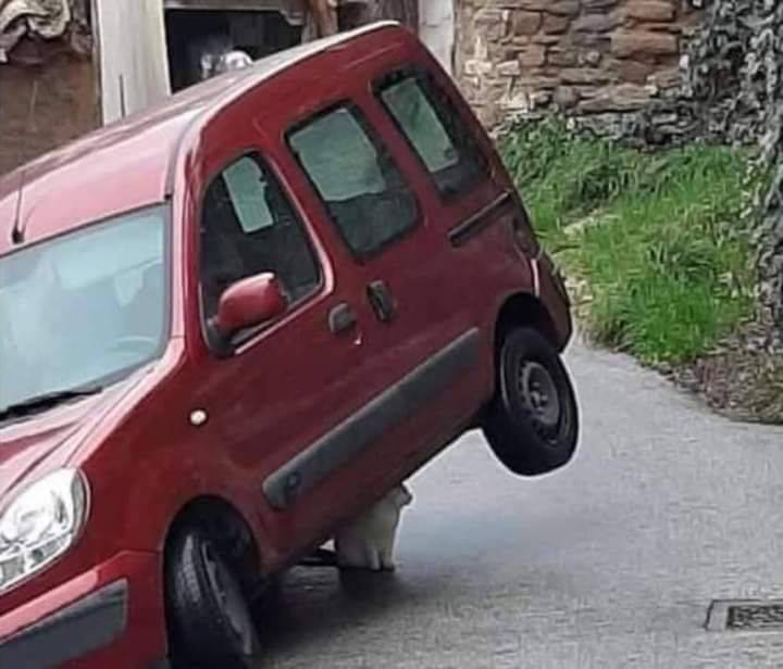 Daily Pictures. Part 1 (72 pics) Daily Pictures. Part 1 (72 pics)