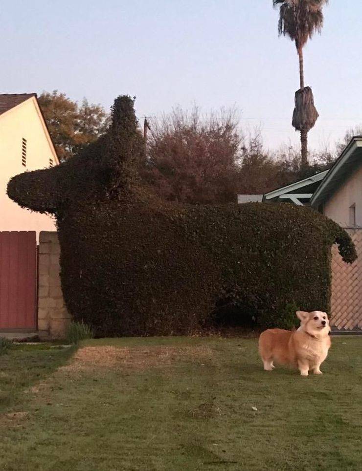 Daily Pictures. Part 1 (72 pics) Daily Pictures. Part 1 (72 pics)