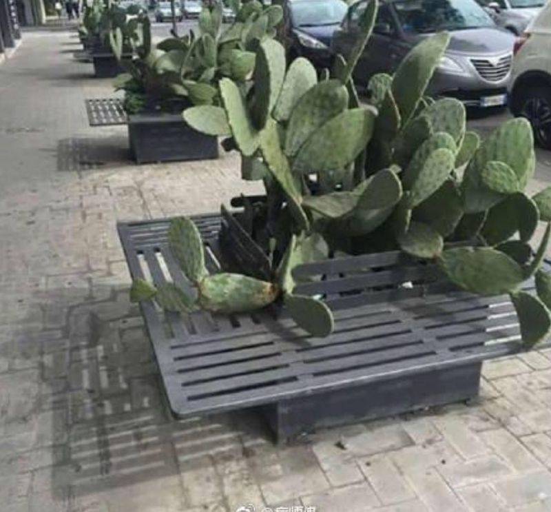 Daily Pictures. Part 1 (72 pics) Daily Pictures. Part 1 (72 pics)