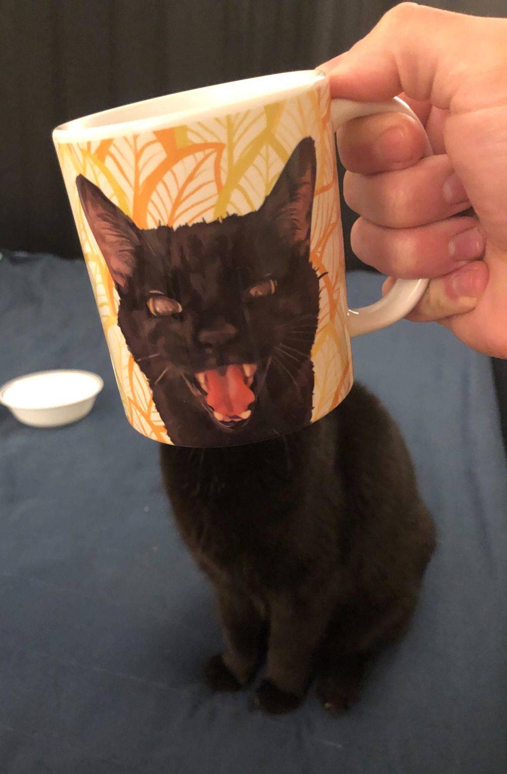 Daily Pictures. Part 1 (72 pics) Daily Pictures. Part 1 (72 pics)