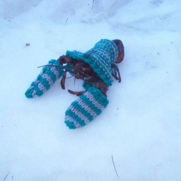 Daily Pictures. Part 1 (72 pics) Daily Pictures. Part 1 (72 pics)