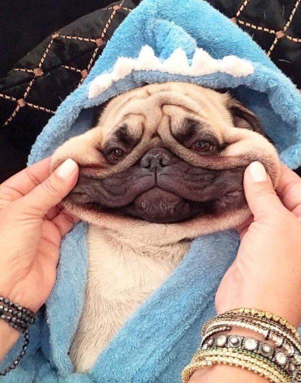 Daily Pictures. Part 1 (72 pics) Daily Pictures. Part 1 (72 pics)