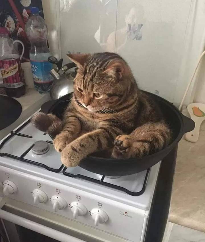 Daily Pictures. Part 1 (72 pics) Daily Pictures. Part 1 (72 pics)