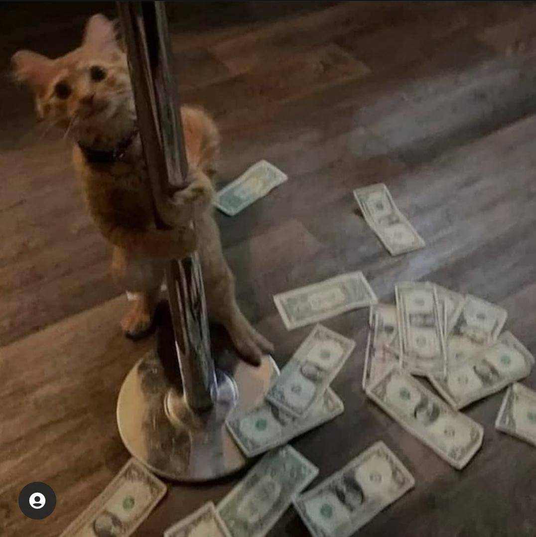 Daily Pictures. Part 2 (71 pics) Daily Pictures. Part 2 (71 pics)