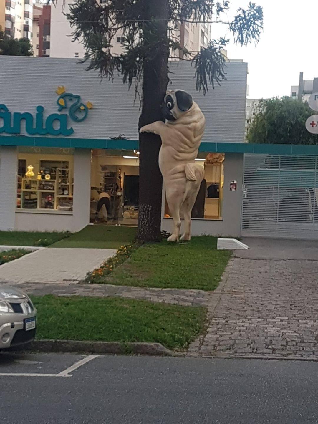 Daily Pictures. Part 2 (71 pics) Daily Pictures. Part 2 (71 pics)