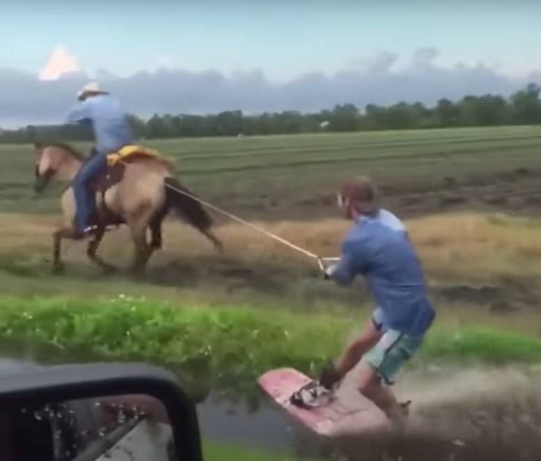 Daily Pictures. Part 2 (71 pics) Daily Pictures. Part 2 (71 pics)