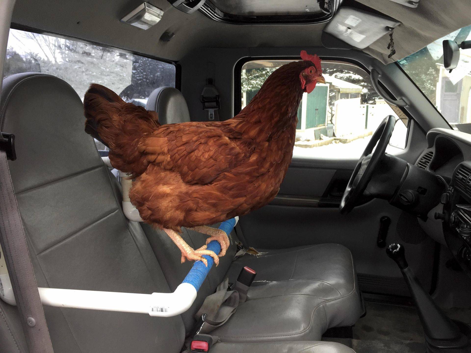 Daily Pictures. Part 2 (71 pics) Daily Pictures. Part 2 (71 pics)