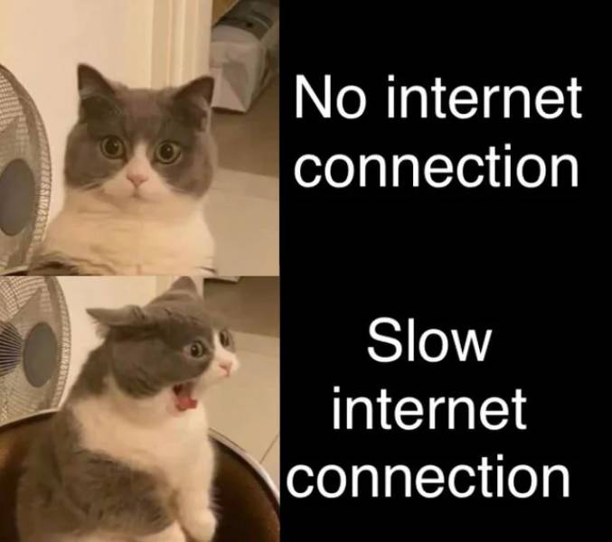 Daily Pictures. Part 2 (71 pics) Daily Pictures. Part 2 (71 pics)