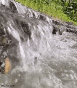 Acid GIFs, February 25 (25 gifs) Acid GIFs, February 25 (25 gifs)