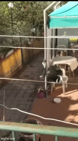 Acid GIFs, February 25 (25 gifs) Acid GIFs, February 25 (25 gifs)