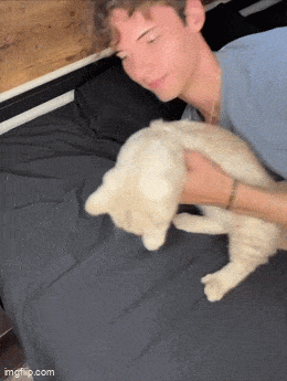 Acid GIFs, February 25 (25 gifs) Acid GIFs, February 25 (25 gifs)