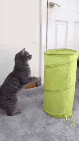 Acid GIFs, February 25 (25 gifs) Acid GIFs, February 25 (25 gifs)