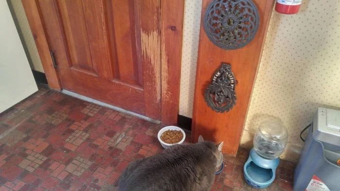 Time Changes Everything (15 pics) Time Changes Everything (15 pics)