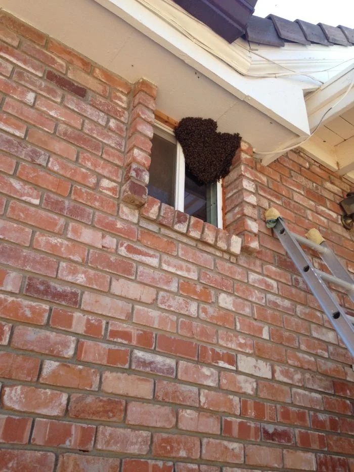 Creepy Photos (15 pics) Creepy Photos (15 pics)