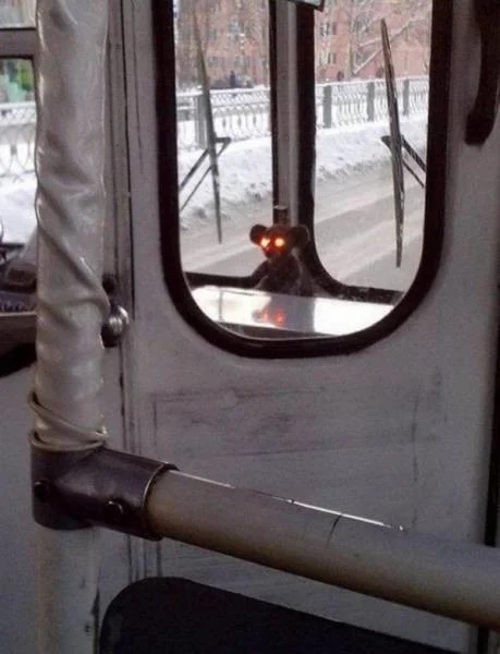 Creepy Photos (15 pics) Creepy Photos (15 pics)