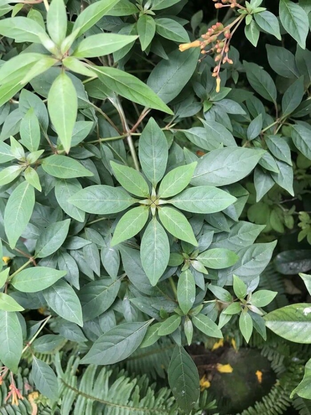 Photos For Perfectionists (16 pics) Photos For Perfectionists (16 pics)