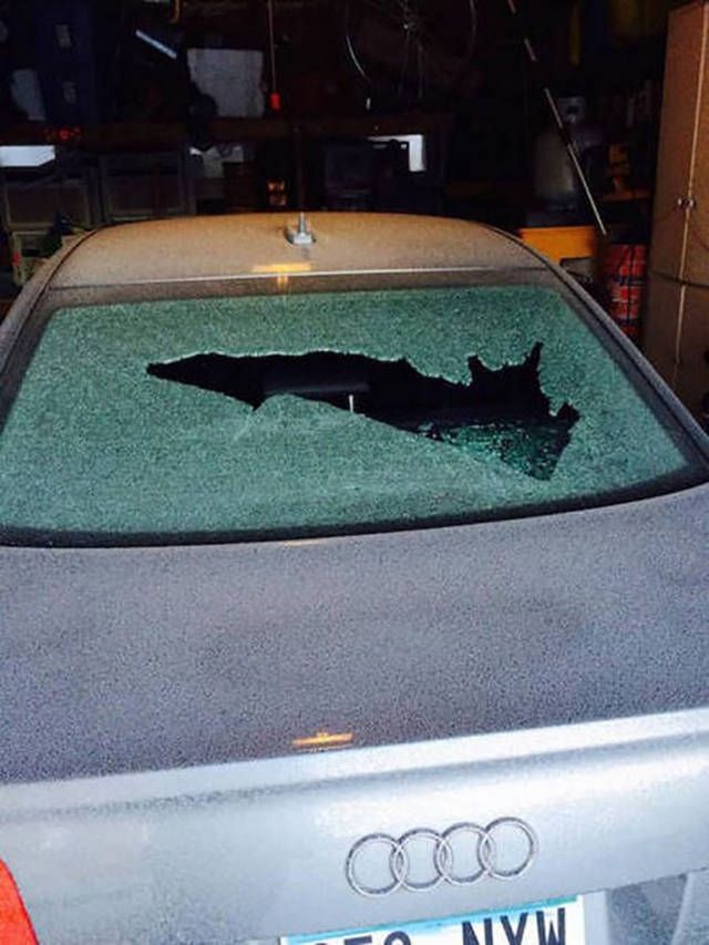 Bad Days Happen (25 pics) Bad Days Happen (25 pics)