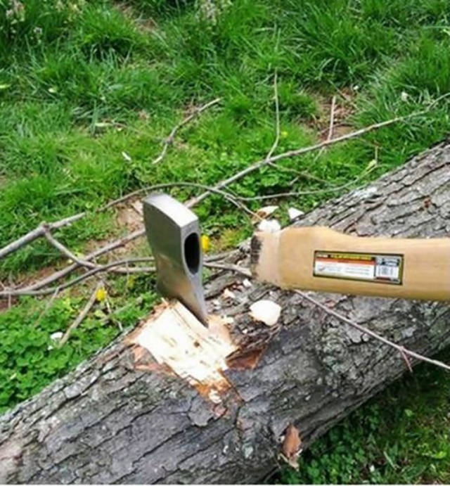 Bad Days Happen (25 pics) Bad Days Happen (25 pics)