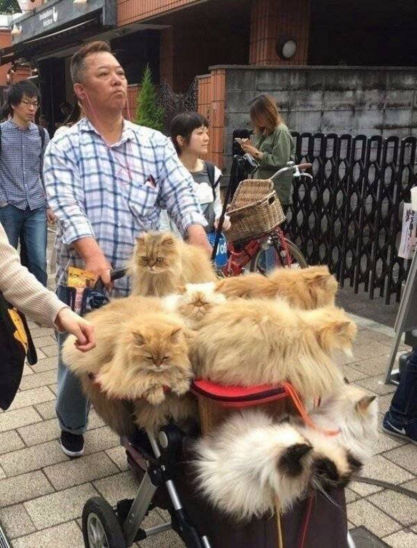 Daily Pictures. Part 1 (68 pics) Daily Pictures. Part 1 (68 pics)