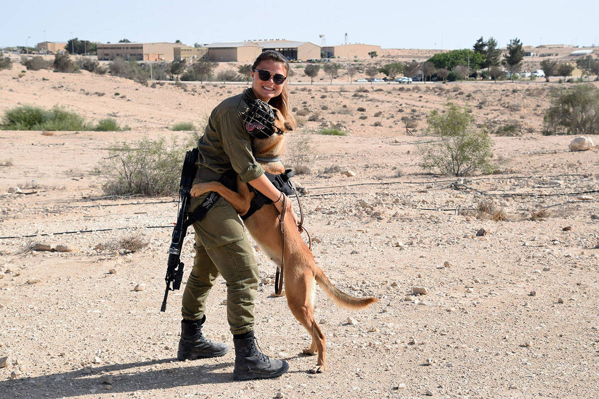 Daily Pictures. Part 1 (68 pics) Daily Pictures. Part 1 (68 pics)