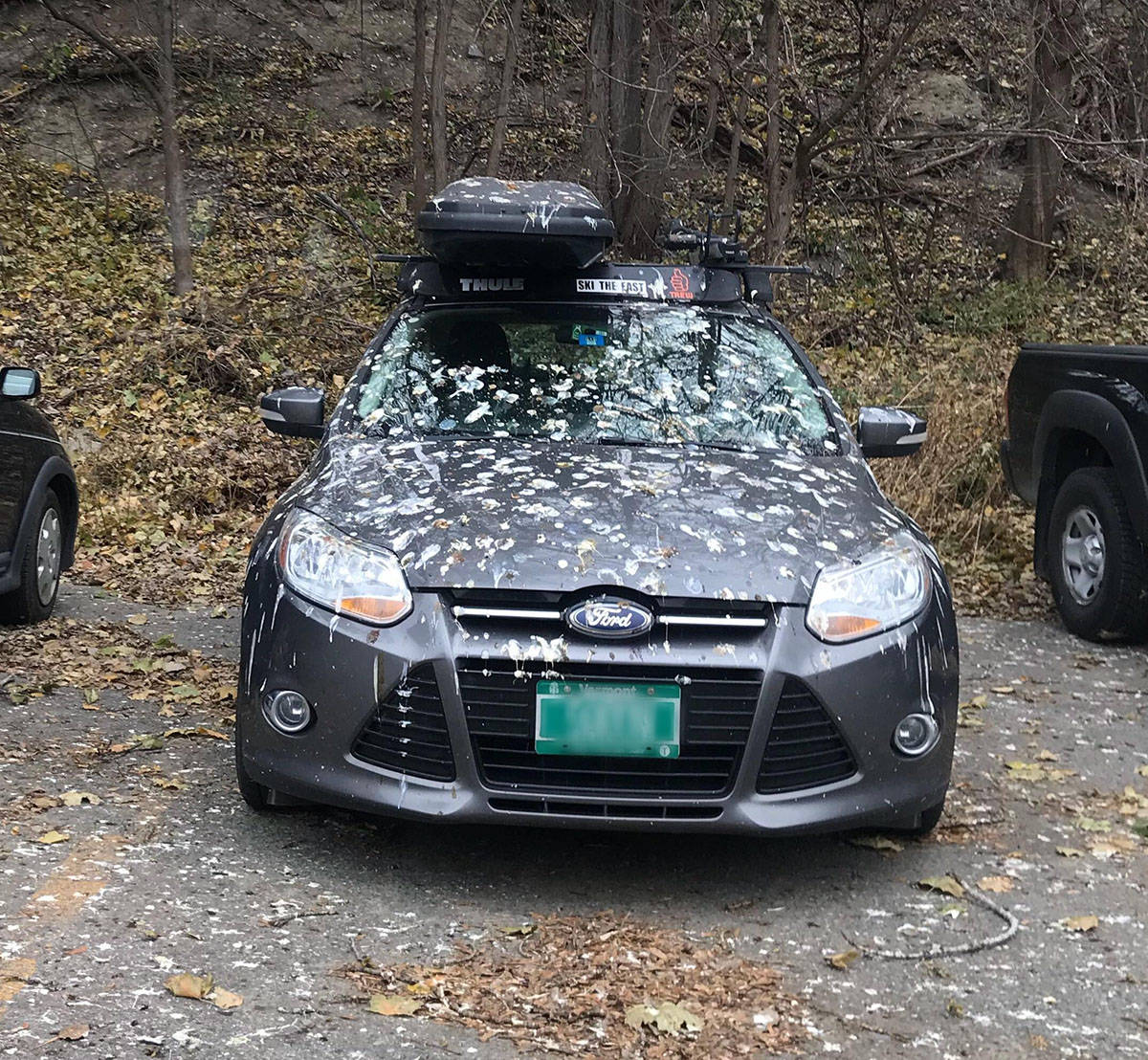 Daily Pictures. Part 1 (68 pics) Daily Pictures. Part 1 (68 pics)