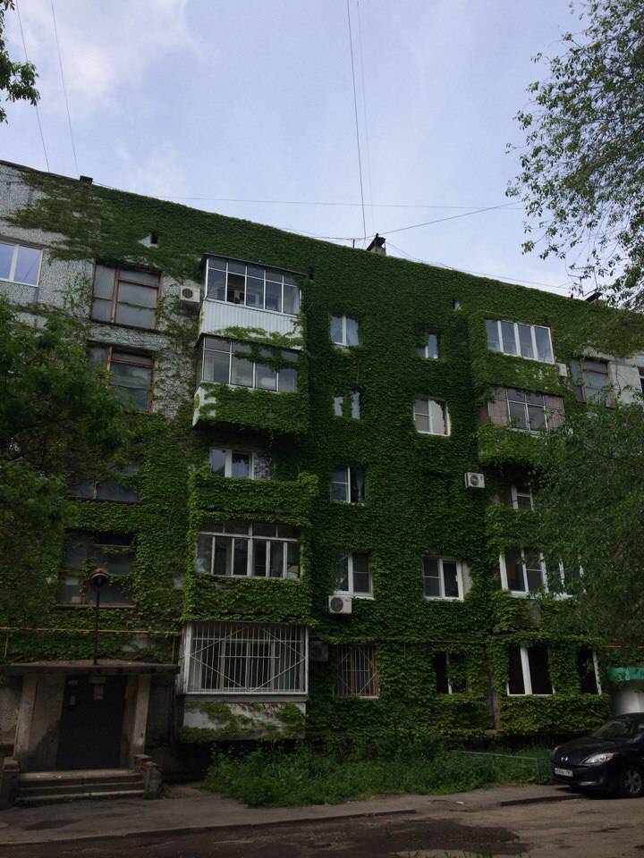 Daily Pictures. Part 1 (68 pics) Daily Pictures. Part 1 (68 pics)