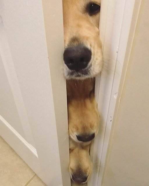 Daily Pictures. Part 1 (68 pics) Daily Pictures. Part 1 (68 pics)