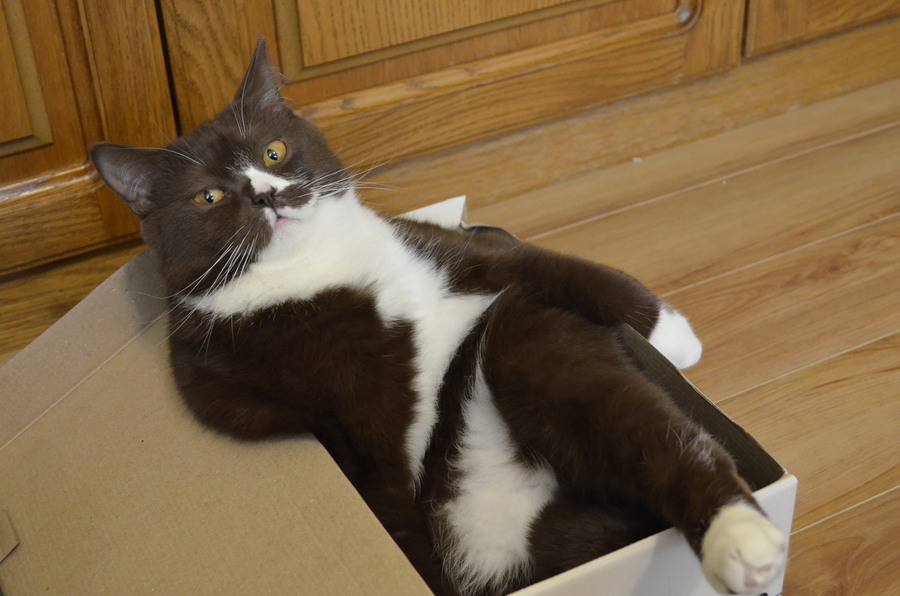 Daily Pictures. Part 1 (68 pics) Daily Pictures. Part 1 (68 pics)