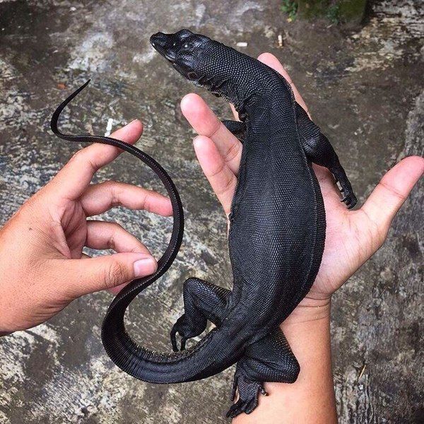 Daily Pictures. Part 2 (67 pics) Daily Pictures. Part 2 (67 pics)