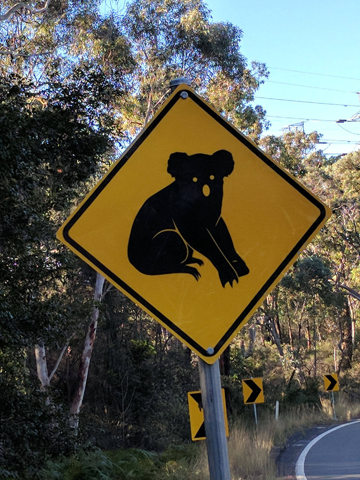 Daily Pictures. Part 1 (68 pics) Daily Pictures. Part 1 (68 pics)