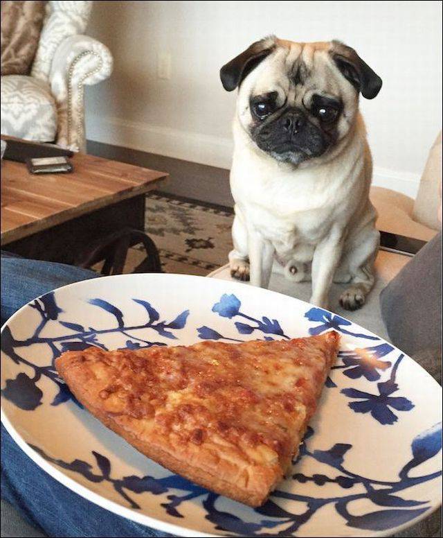 Daily Pictures. Part 1 (68 pics) Daily Pictures. Part 1 (68 pics)