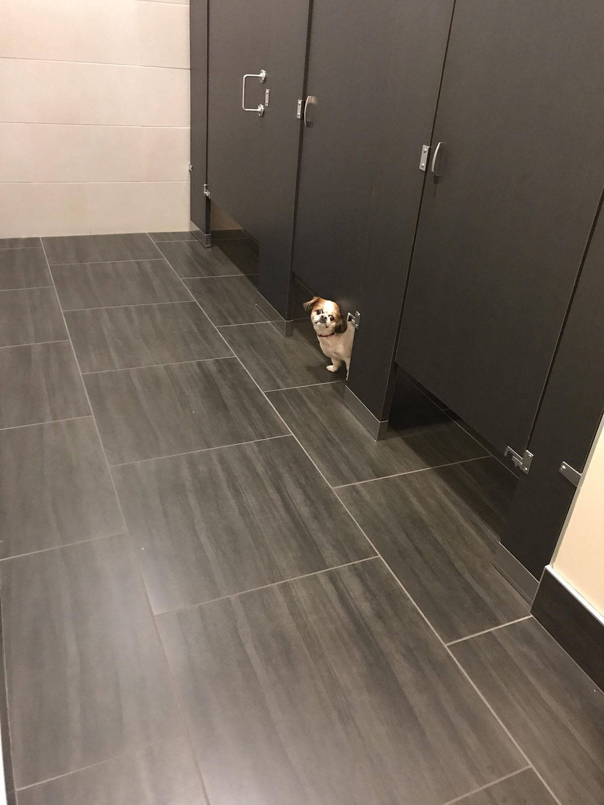 Daily Pictures. Part 1 (68 pics) Daily Pictures. Part 1 (68 pics)