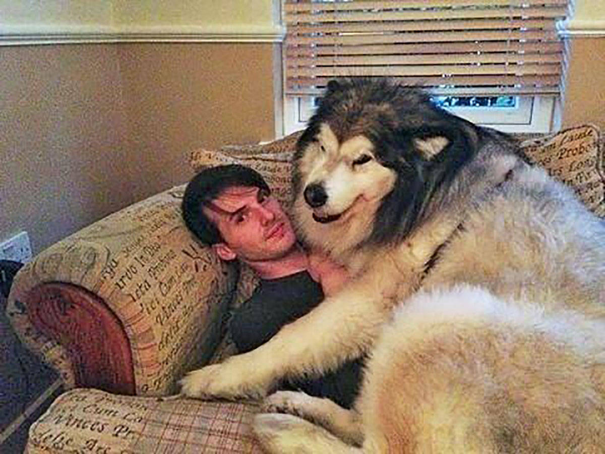 Daily Pictures. Part 1 (68 pics) Daily Pictures. Part 1 (68 pics)