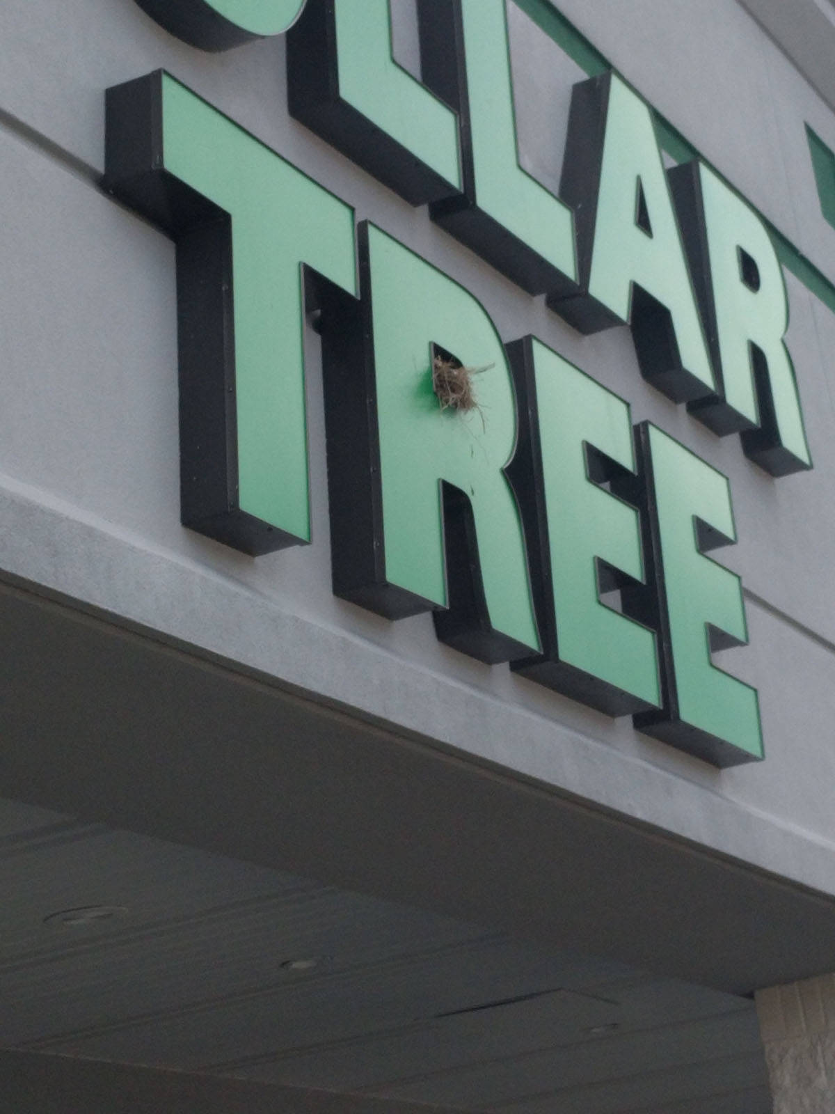 Daily Pictures. Part 1 (68 pics) Daily Pictures. Part 1 (68 pics)